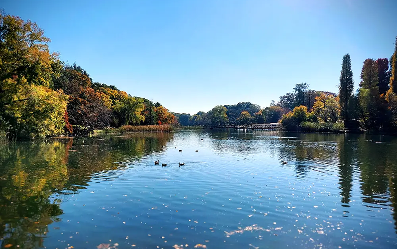 井の頭恩賜公園 井の頭池のイメージ